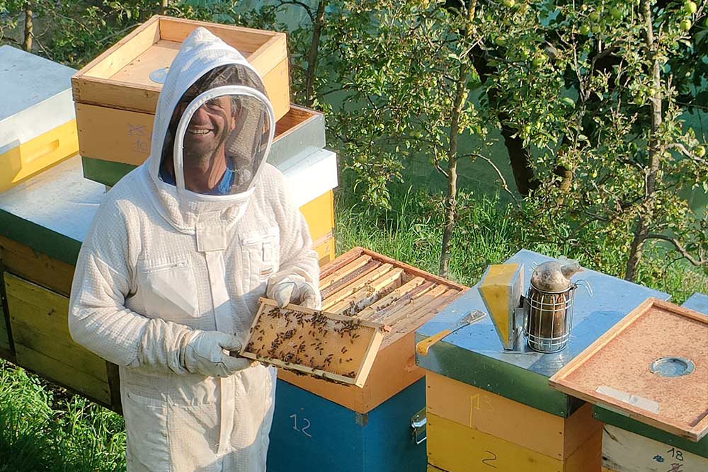produzione miele azienda agricola biosio