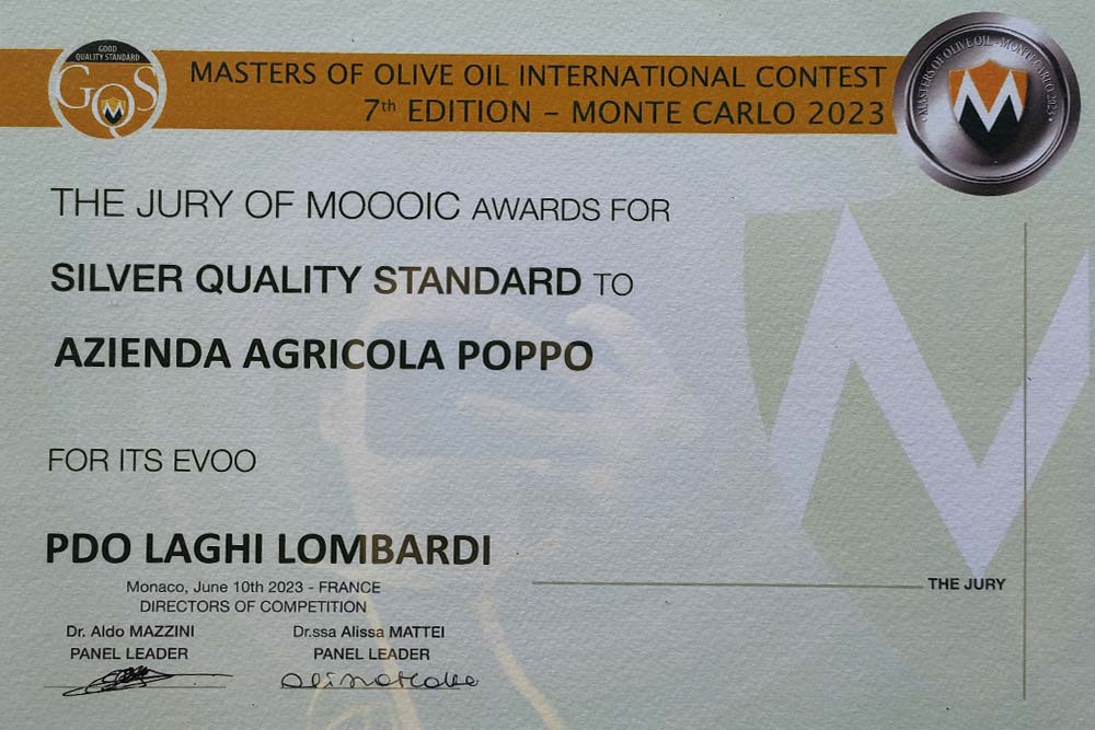 master of olive oil international contest 2023