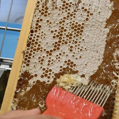 azienda agricola produzione miele bellano